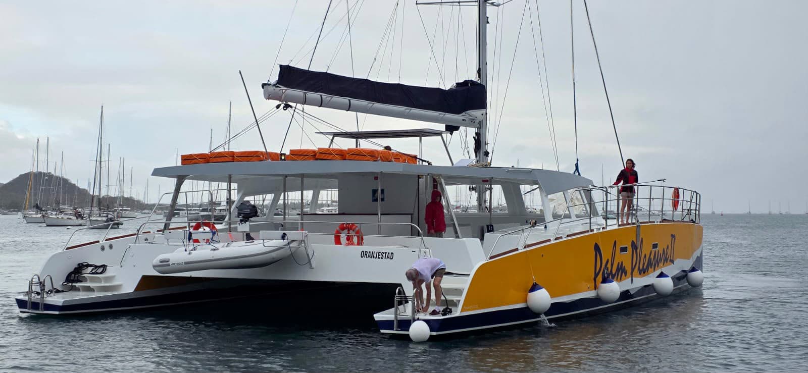 Palm Pleasure 2 crosses the Atlantic as a family story