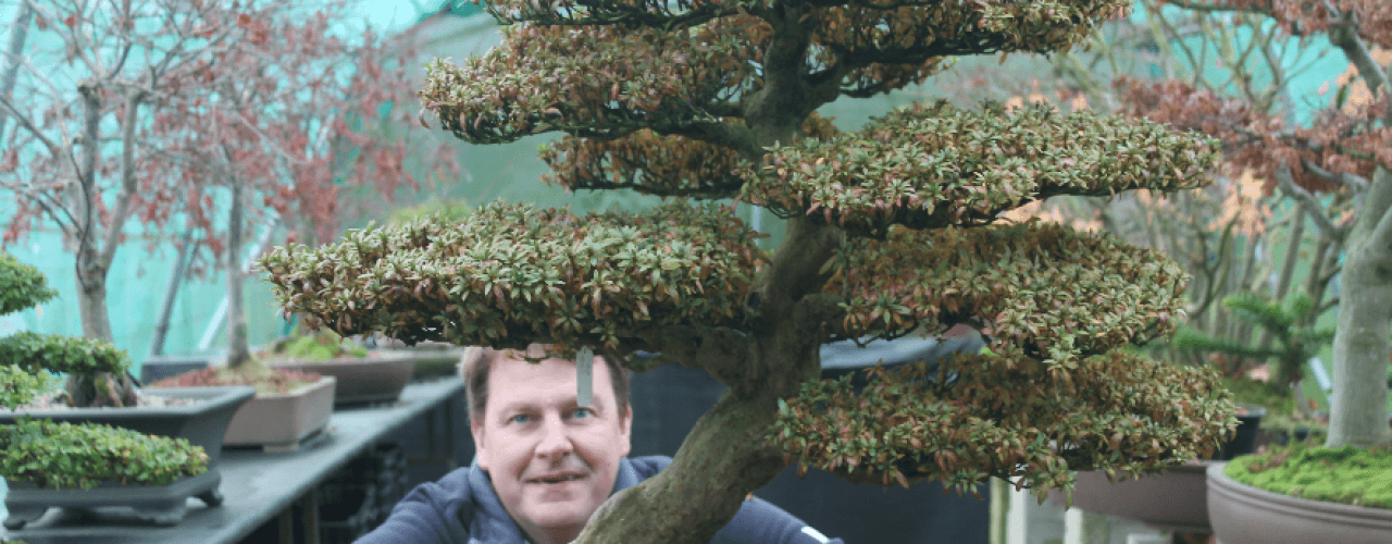 North of England Bonsai maps beginner classes after Gardeners World Live 2026