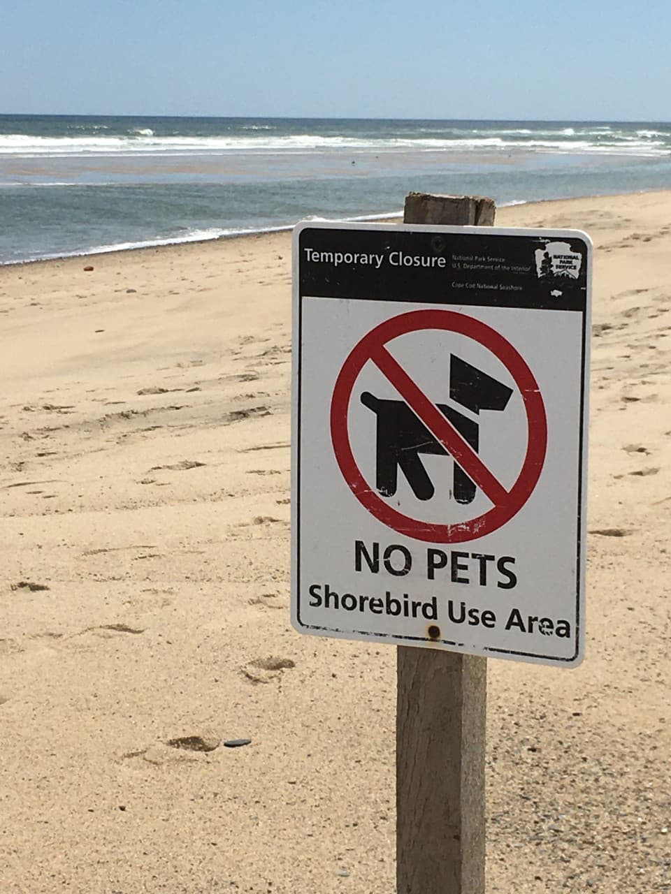 Provincetown beach guide shows where dogs can roam, and where they cannot