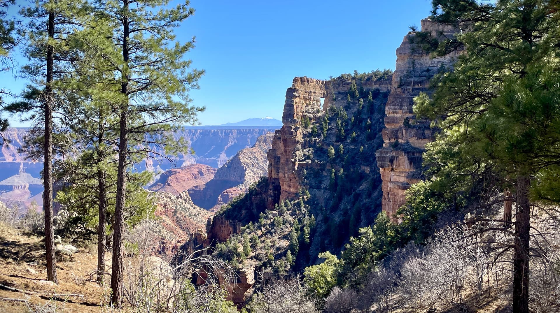 Grand Canyon’s North Rim reopens for 2026 summer season