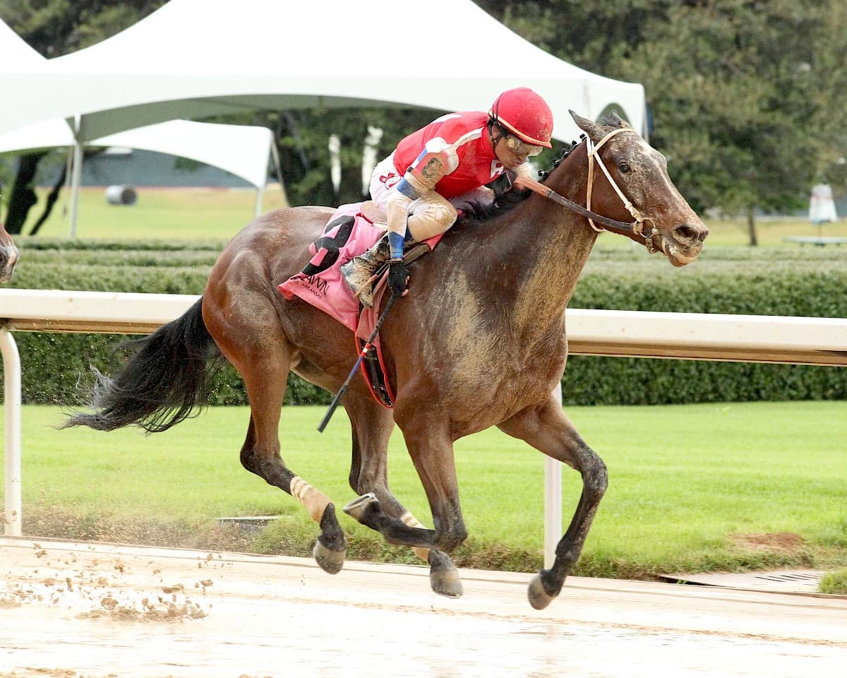 Seventies Music Noses Out Instamania in Thrilling Rainbow Stakes Finish