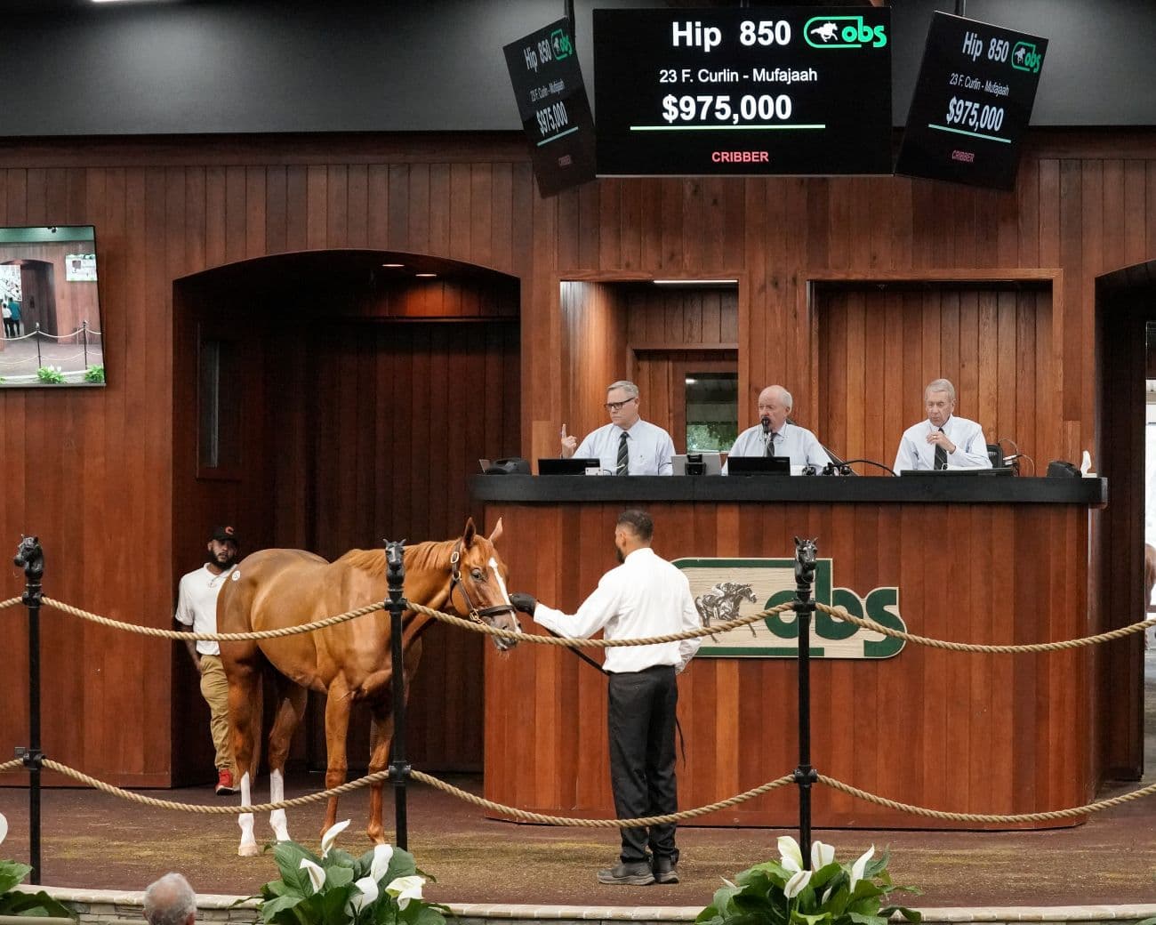 OBS Catalogs 282 Horses for Jan. 27 Winter Mixed Sale
