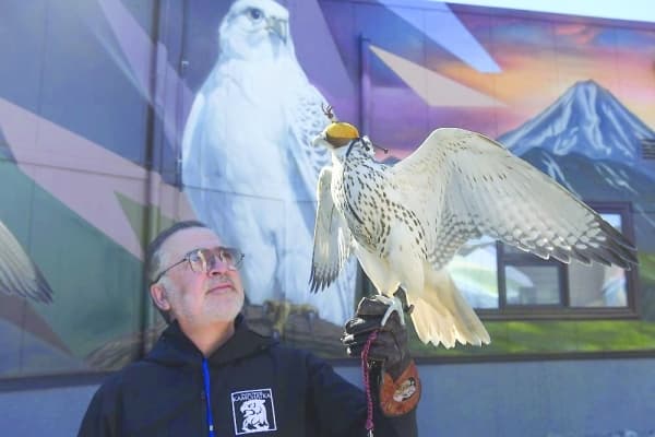 Russia uses gyrfalcons as diplomatic gifts across the Middle East