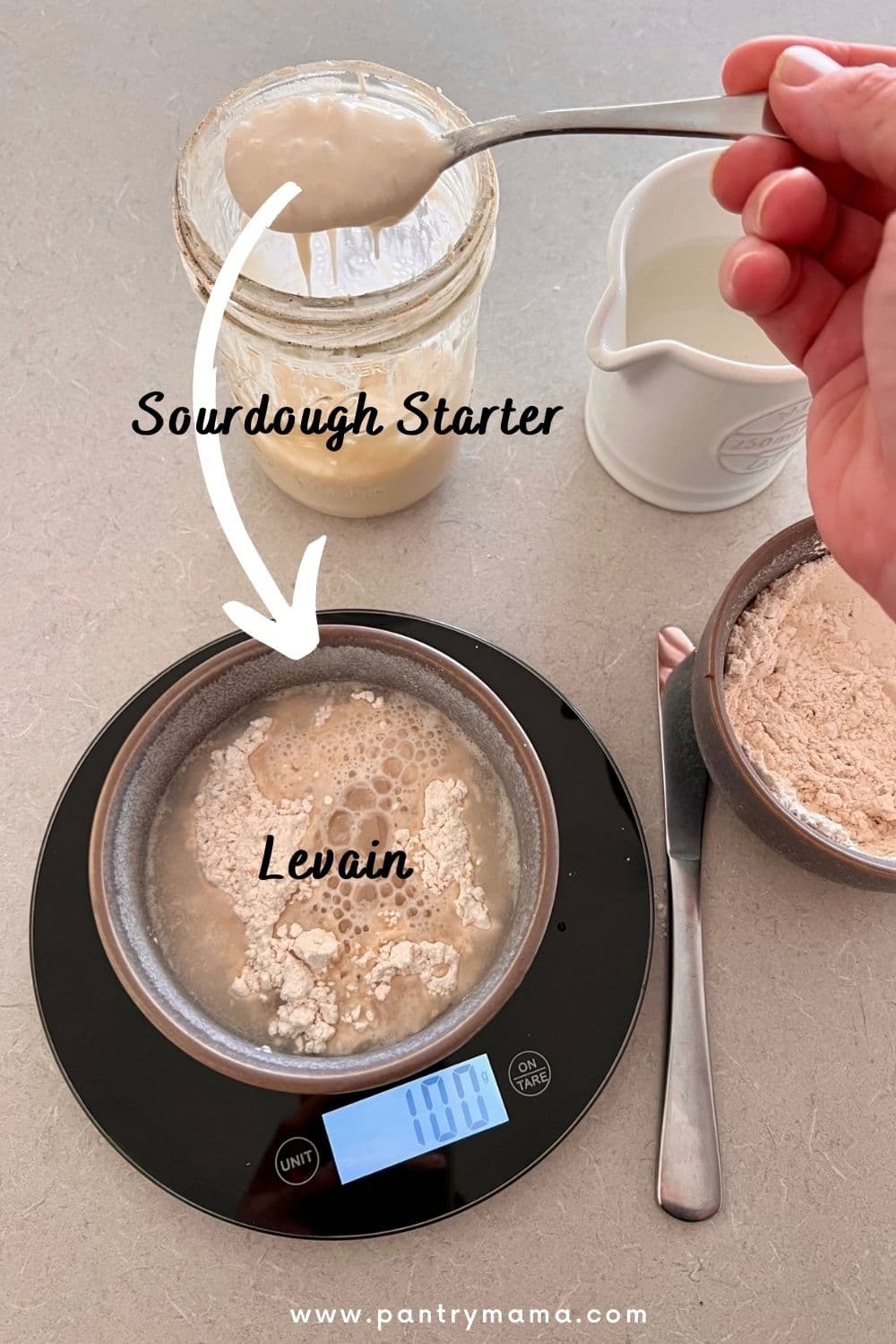 Convert Any Commercial Yeast Recipe into Predictable, Flavorful Sourdough