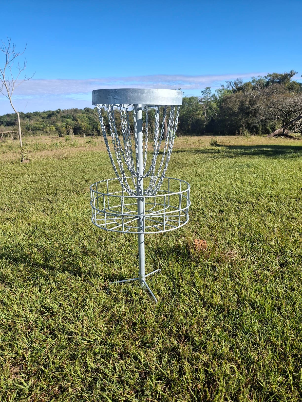 PDGA approves Pinza 1 basket, expands sanctioned target options