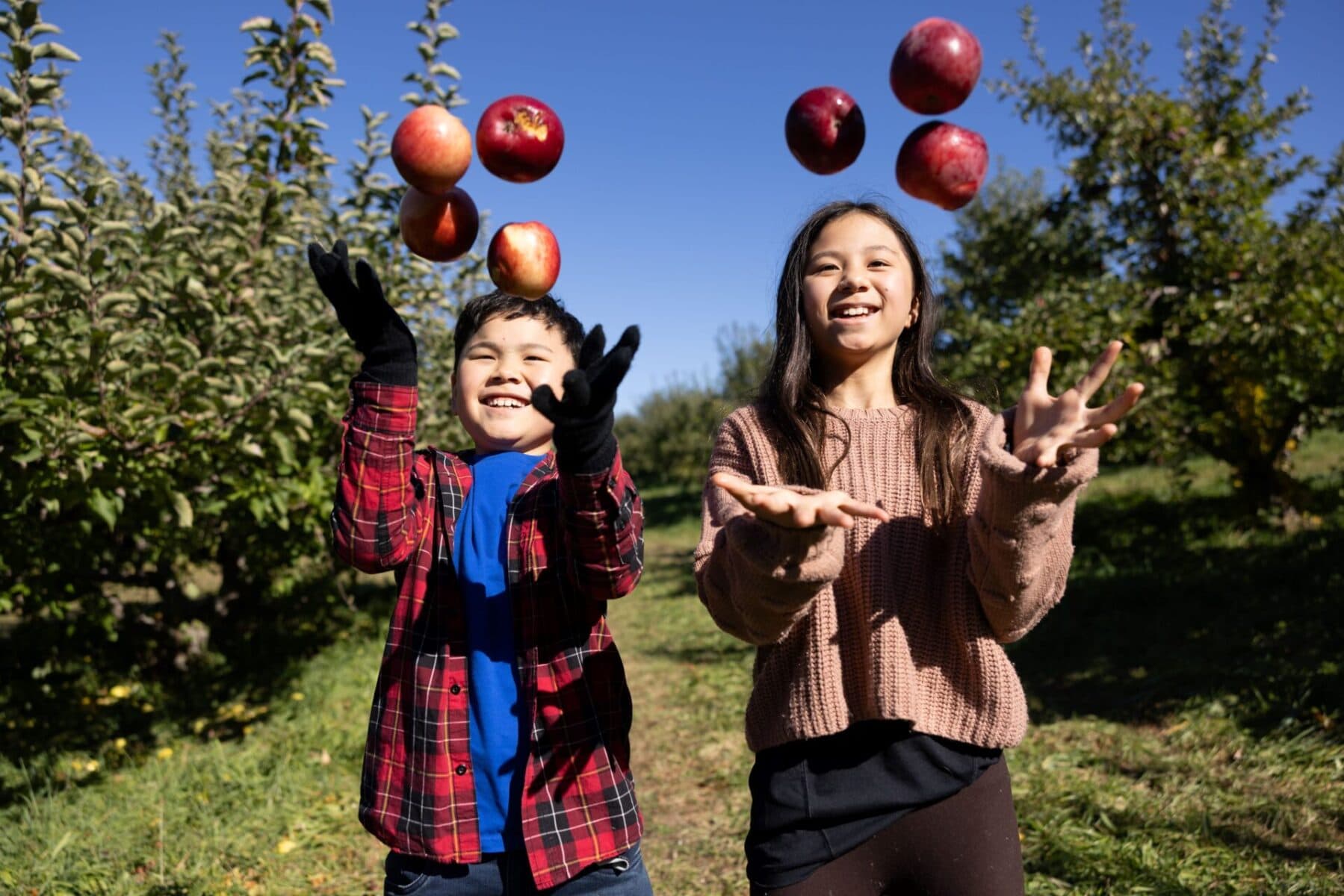 Orange County orchards and markets make a prime Hudson Valley day trip
