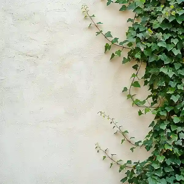 מטפסים למרפסת: איך לבחור נכון לפי שמש, צל ושימוש