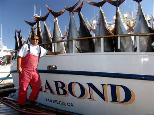 New Lo-An lands 45 bluefin tuna, 80 to 150 pounds, on two-day trip