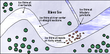 Princeton guide warns cold water can drain body heat fast