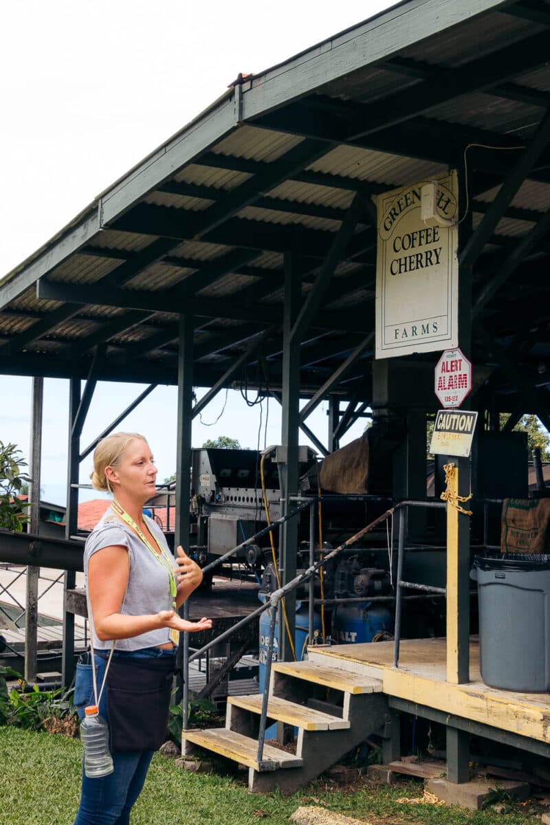 Historic Kona Coffee Farm Faces $10 Million Loss After Devastating Storm