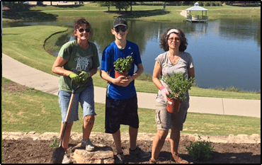 Rockwall expands monarch habitat program across city parks