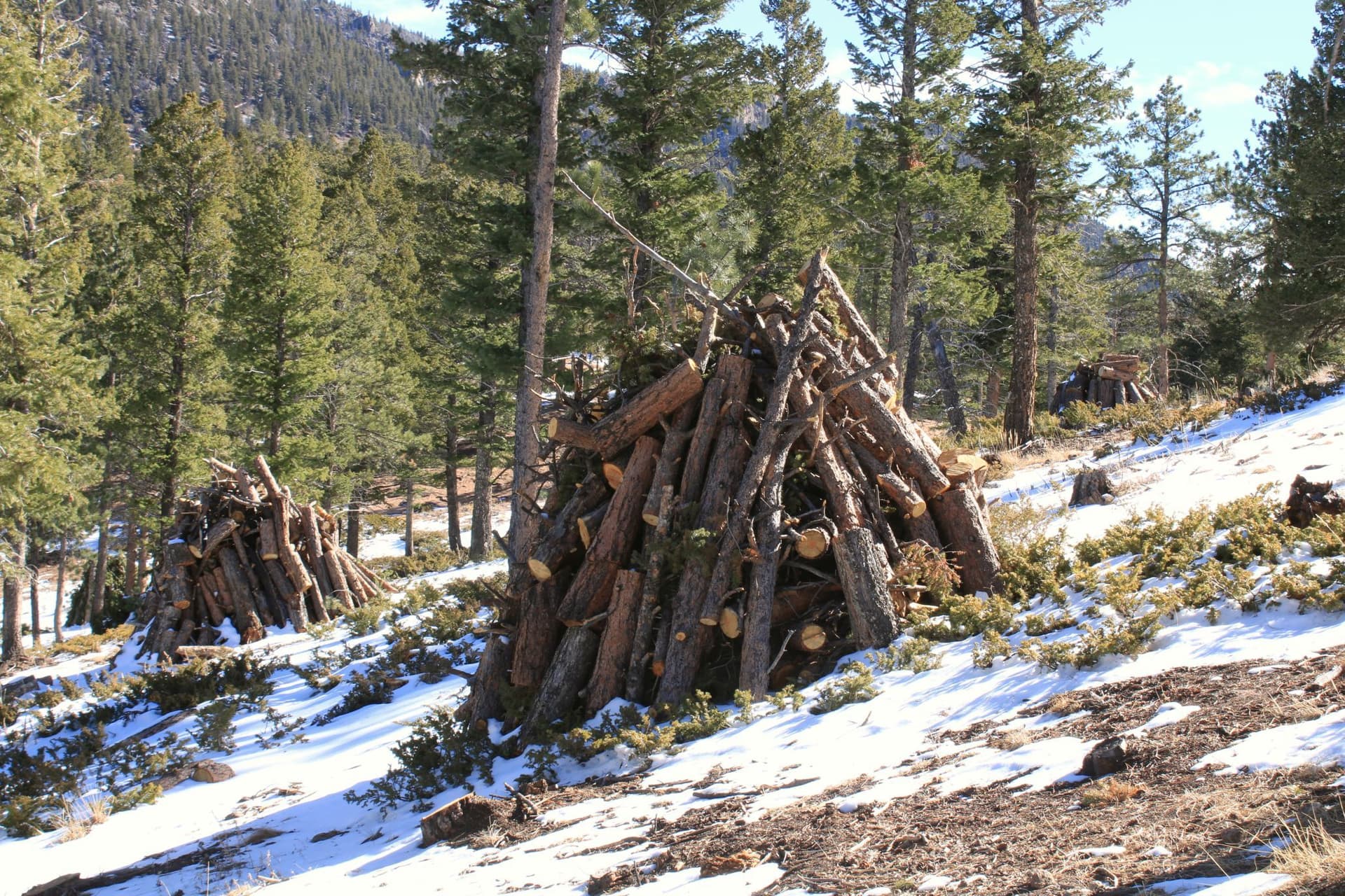 Related photo