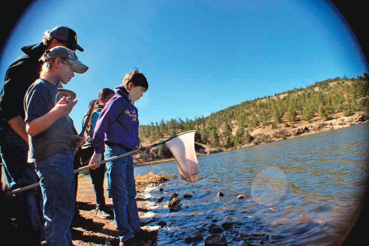GRMC Board Approves Kidney Stone Laser, Cancer Equipment Upgrades for Hidalgo County