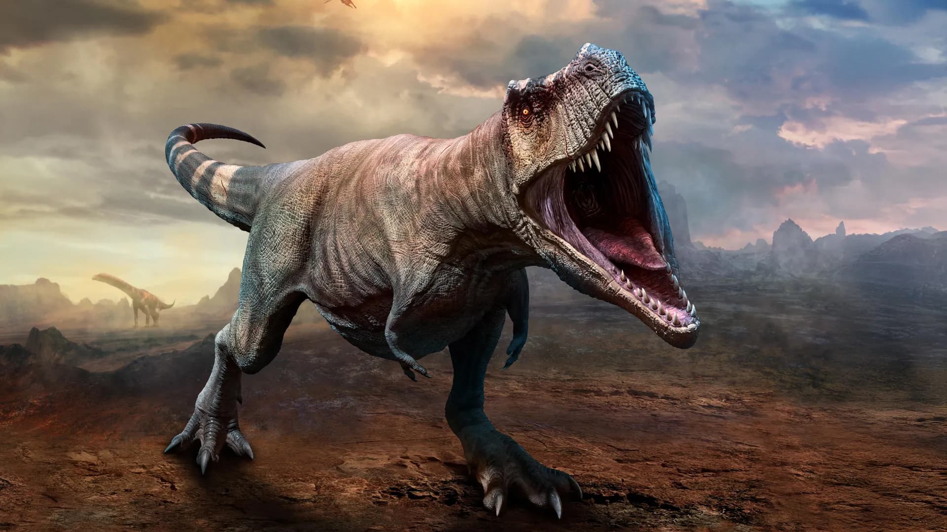 Study says Tyrannosaurus rex grew to full size by age 40