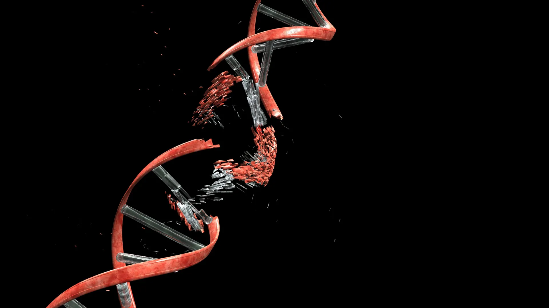 New study finds neuron migration damages DNA in developing brain