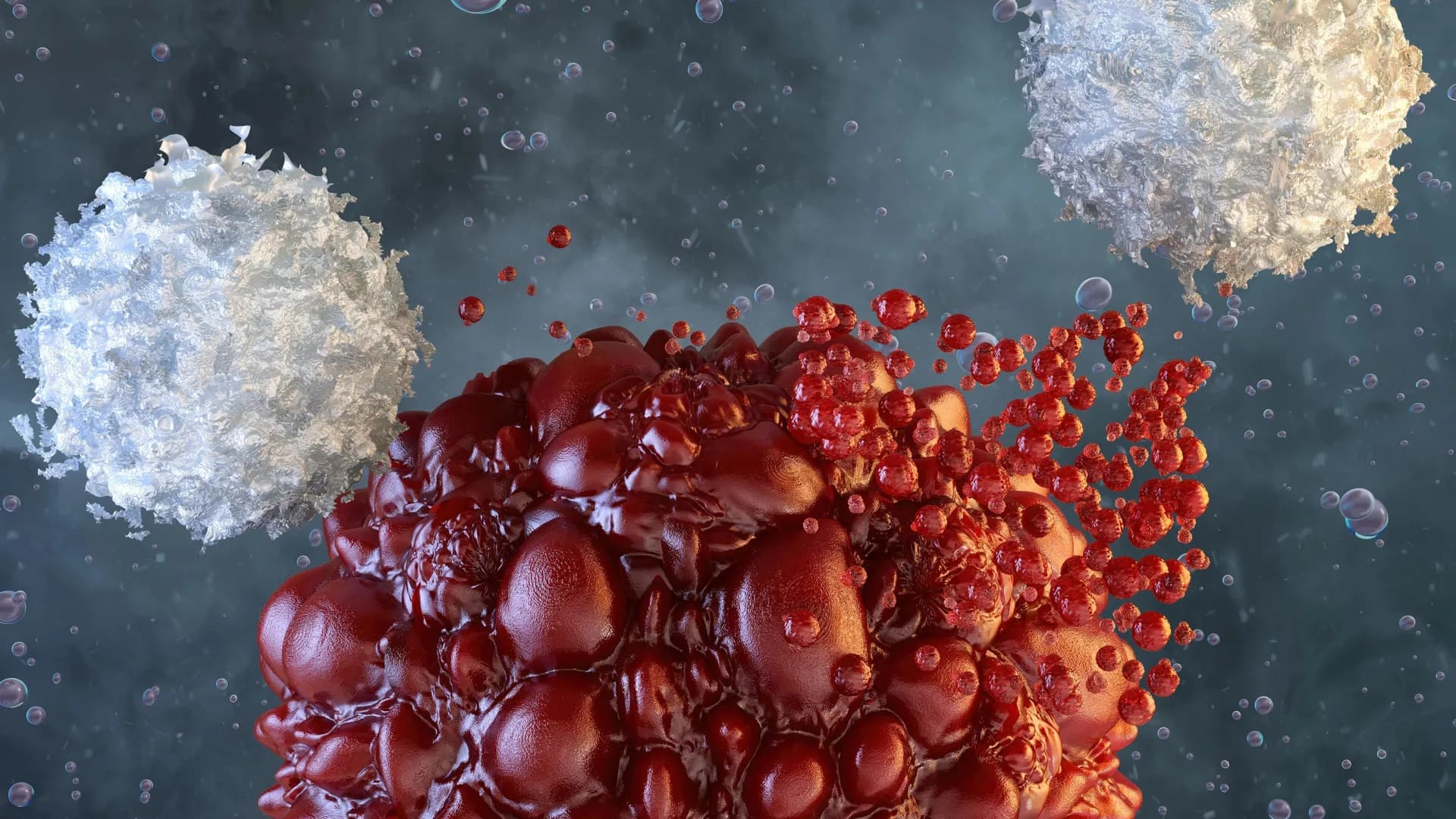 McGill scientists boost killer cells against hard-to-treat cancers