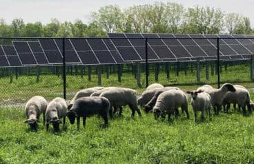 247-MW Buffalo Solar Farm Proposed North of Jamestown Could Bring $23.4M