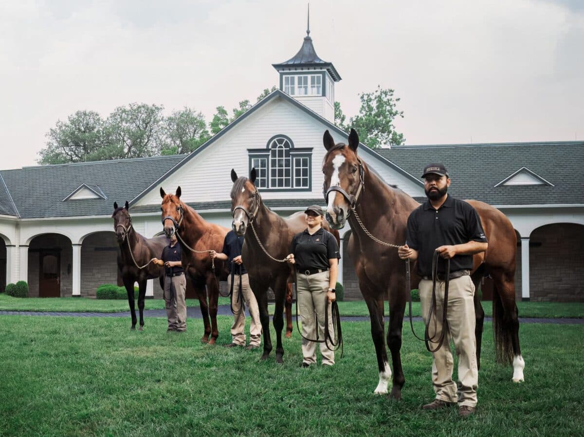 Experts Weigh In on Sire Rankings and 2026 Breeding Season Prospects