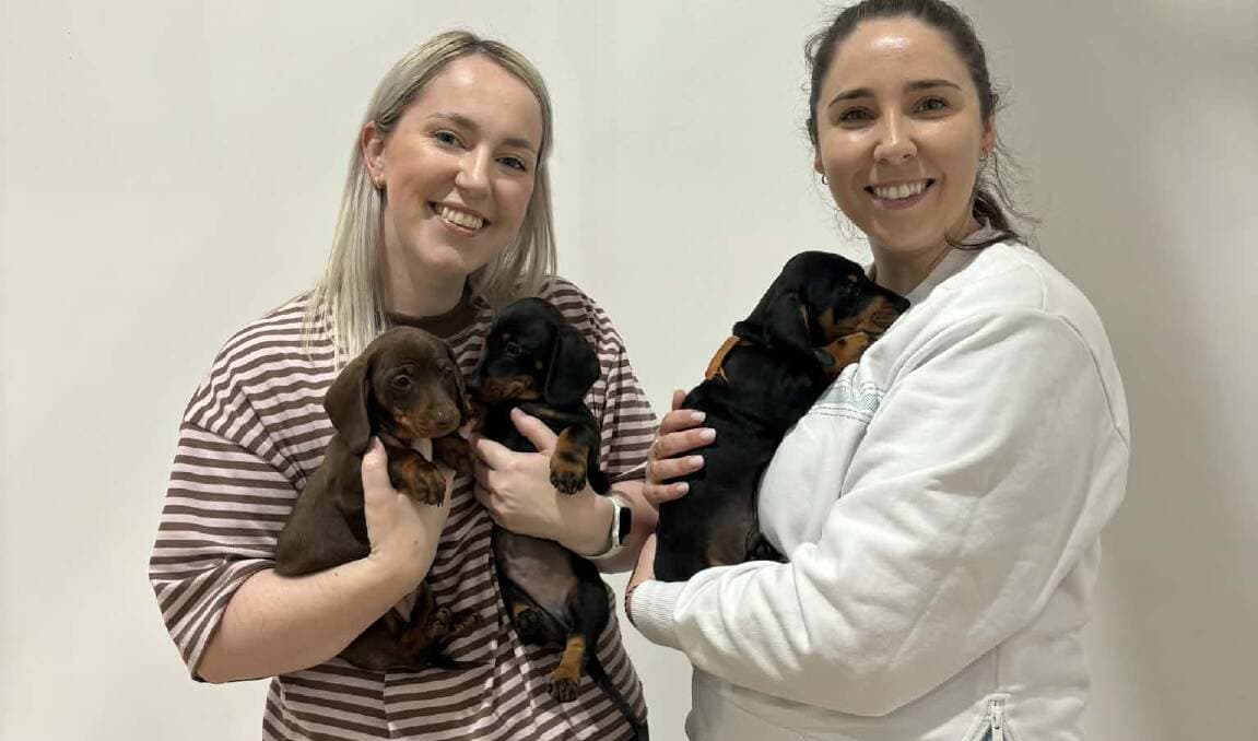 Puppy yoga expands to three regional Victorian locations, blending wellness and socialization