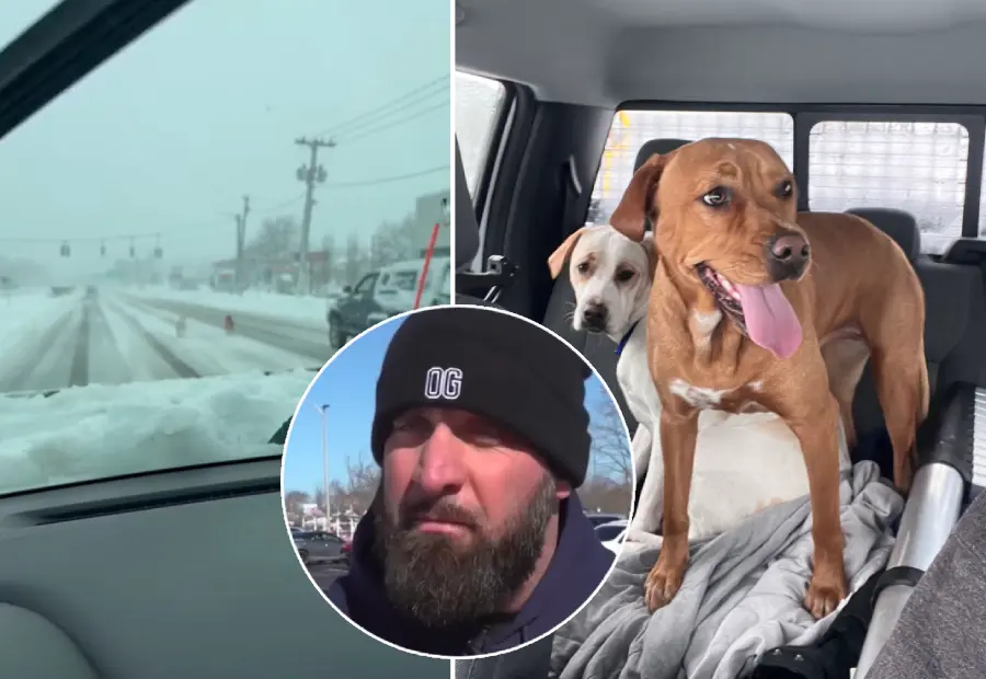Long Island Snowplow Driver Kenny McGowan Rescues Two Dogs Buried in Blizzard