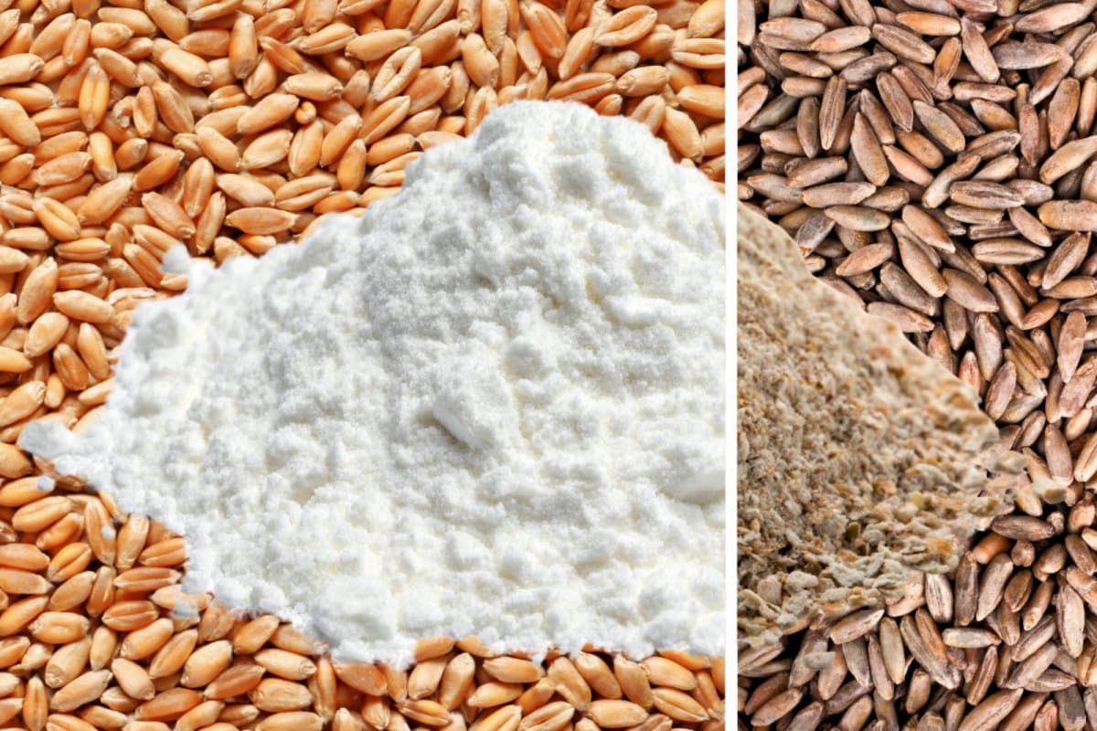 Aldi relabels sourdough loaf after complaint over rye content