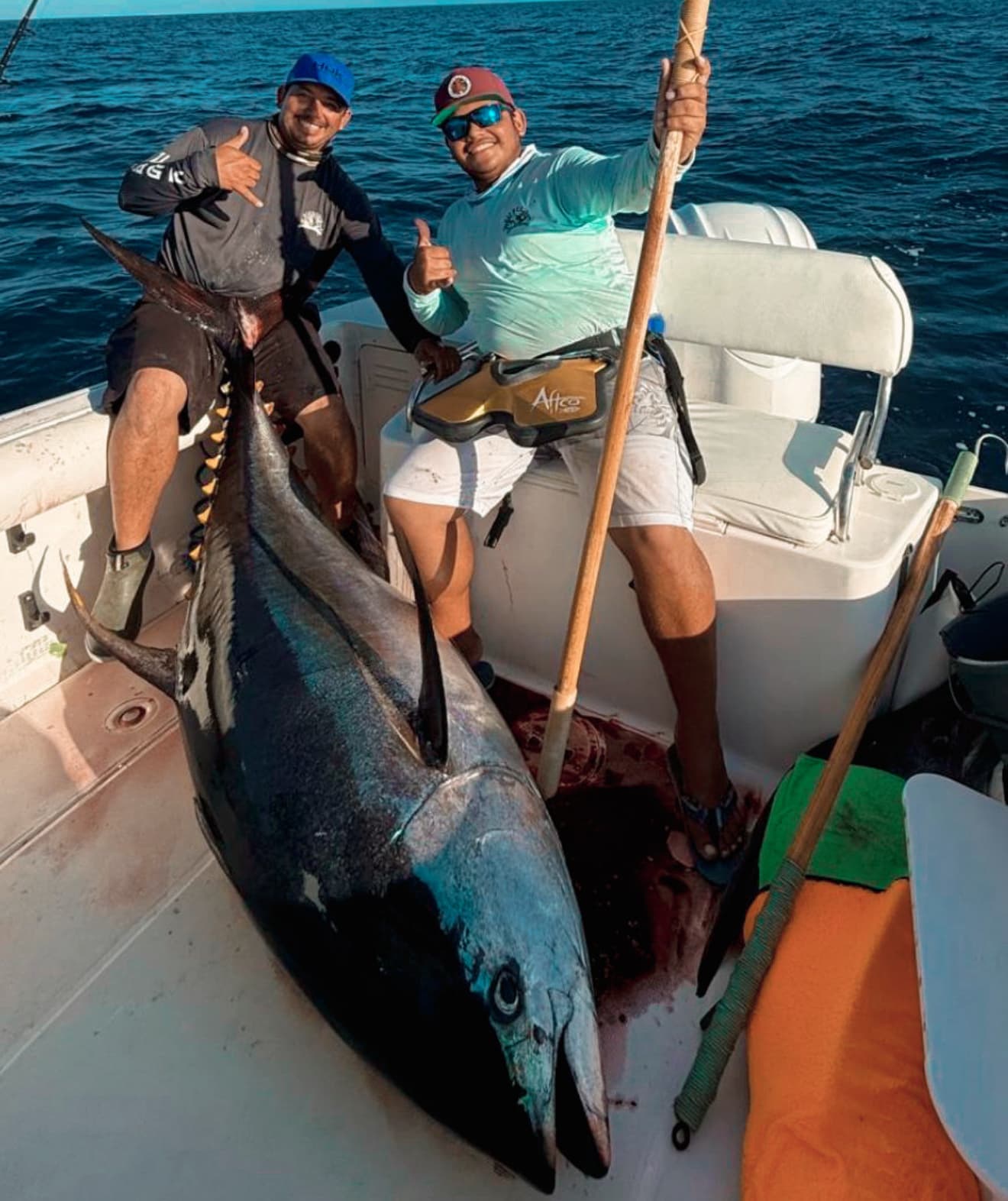 San José del Cabo Offshore Action Delivers Tuna, Dorado, and 200-lb Blue Marlin
