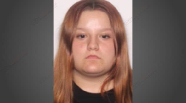 Hernando County Sheriff Seeks Missing Endangered 17-Year-Old from Spring Hill