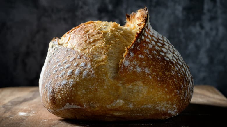 Sourdough Shelf Life Explained, From Staling Mechanisms to Safe Storage