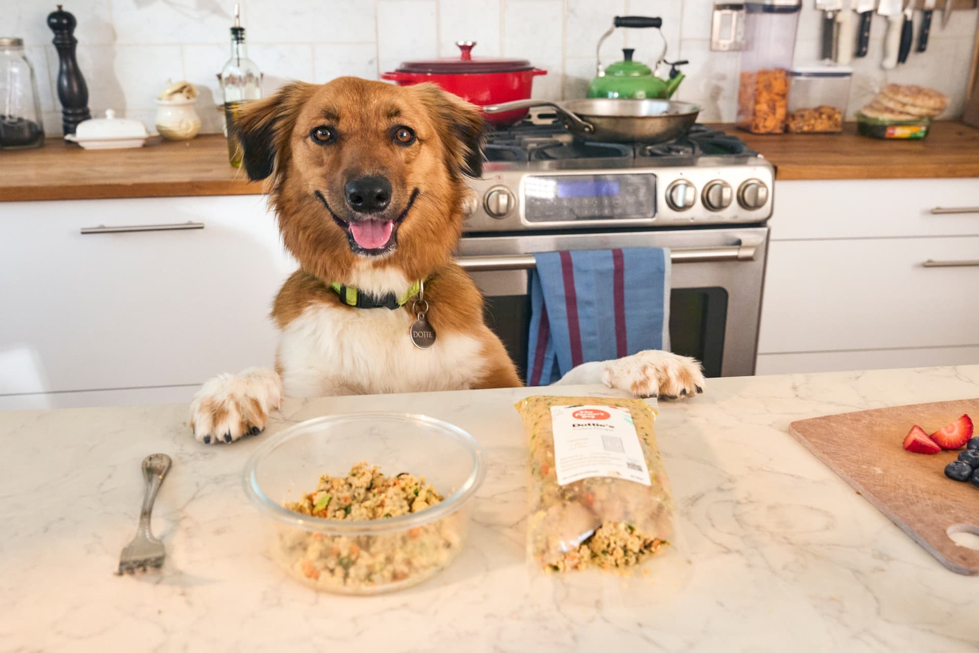 The Farmer's Dog Brings Human-Grade Pet Food to Walmart.com in April