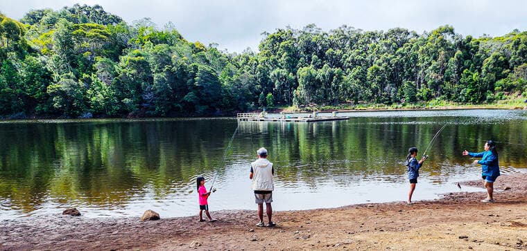 Kokee trout season opens June 20, no lottery this year