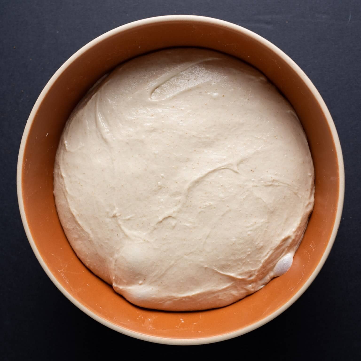 White sourdough demystified with flour choice, starter care, autolyse