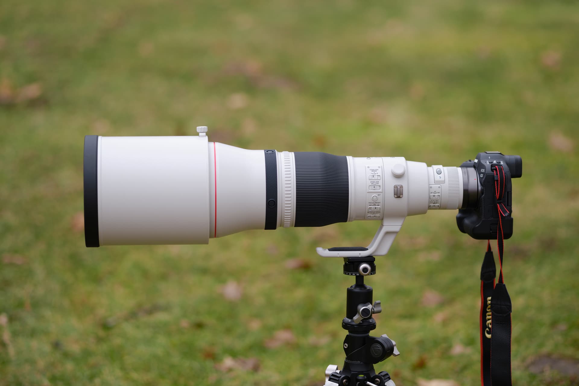 Canon Rumors Point to RF 400mm and 600mm Lenses with Built-In Teleconverters