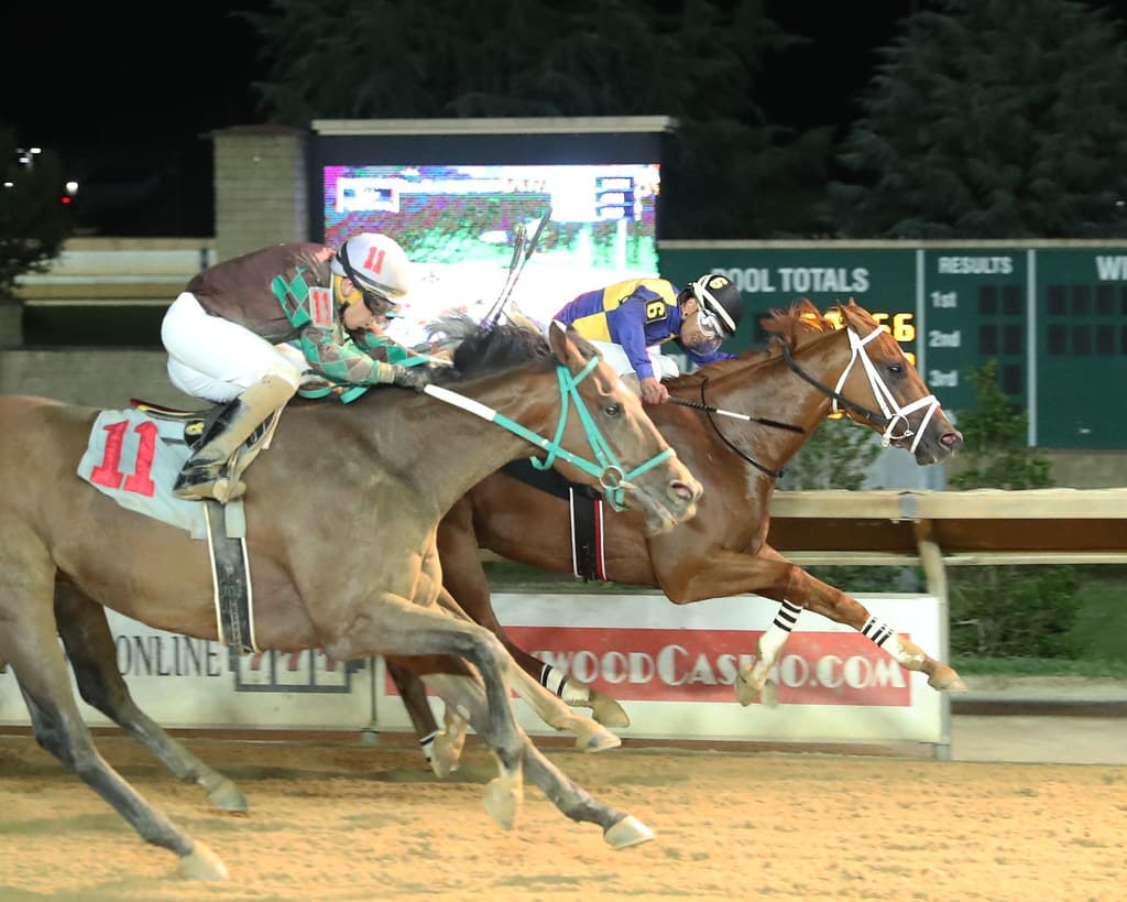 Ray of Sunshine edges Catch the Humor in Confucius Say Stakes