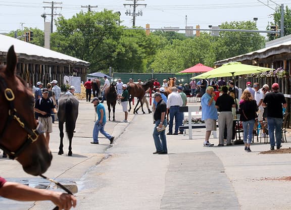 Fasig-Tipton tests untimed under-tack show, new whip rules at Midlantic sale