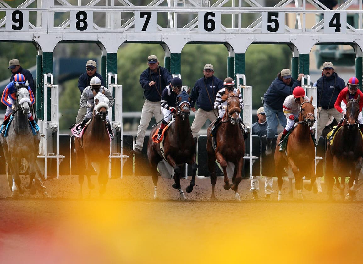 February Sees More Races but Wagering Per Day Declines
