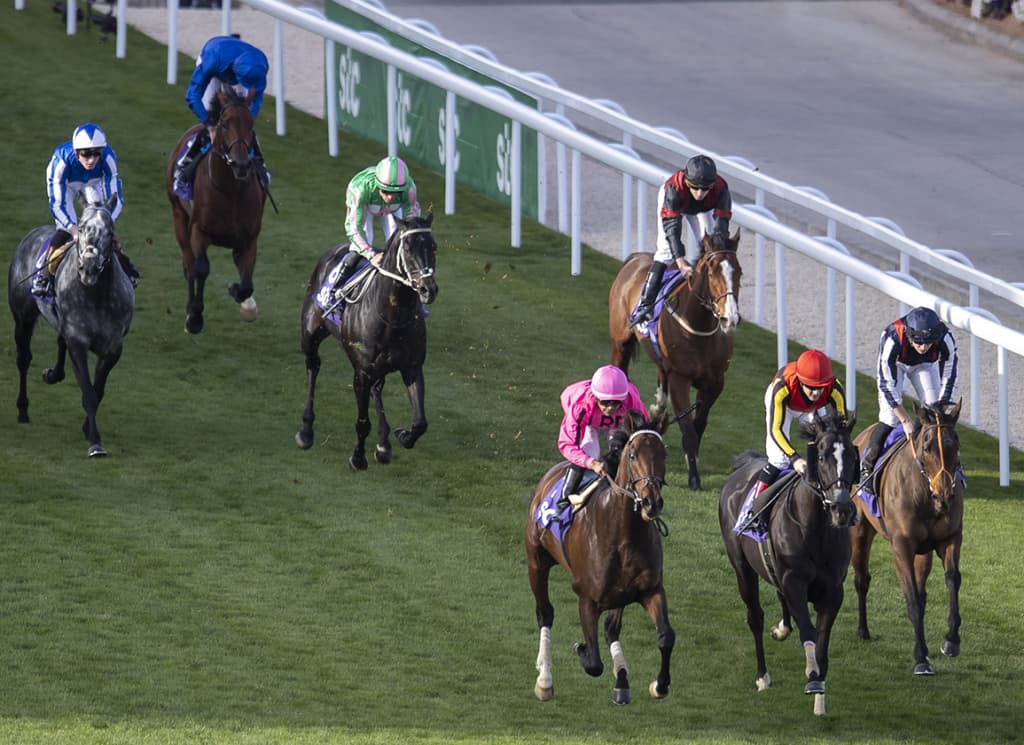 Eclipse champion Shisospicy to miss Saudi 1351 Turf Sprint after infection