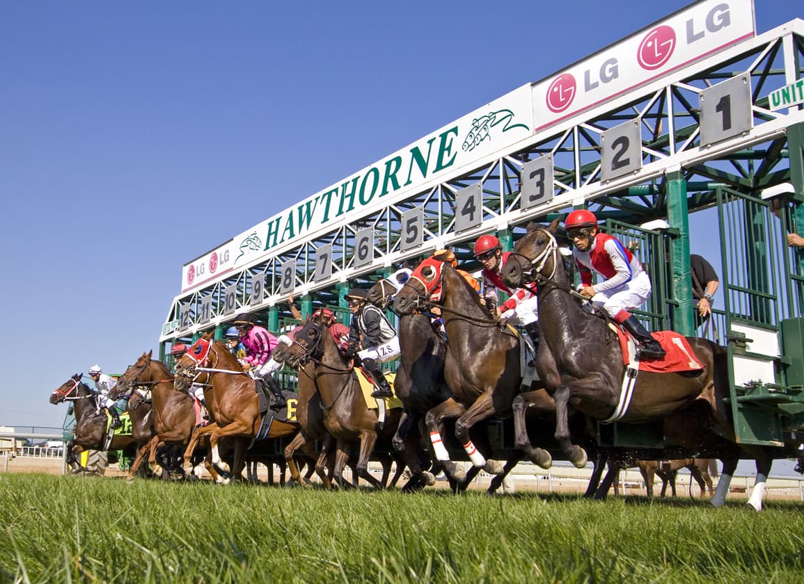 Hawthorne Race Course bankruptcy draws multiple bids, live racing still possible