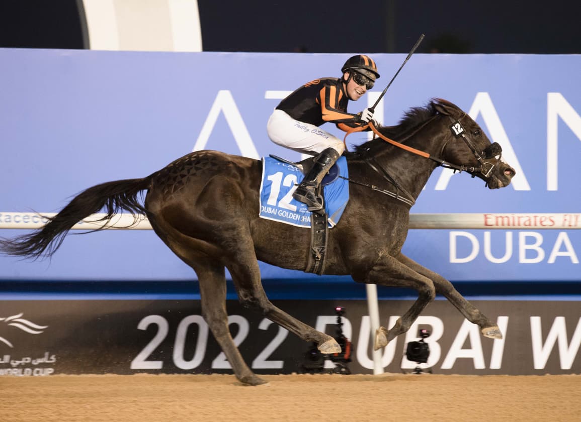 Bentornato Breezes Sharp Half-Mile at Palm Meadows for Dubai Golden Shaheen