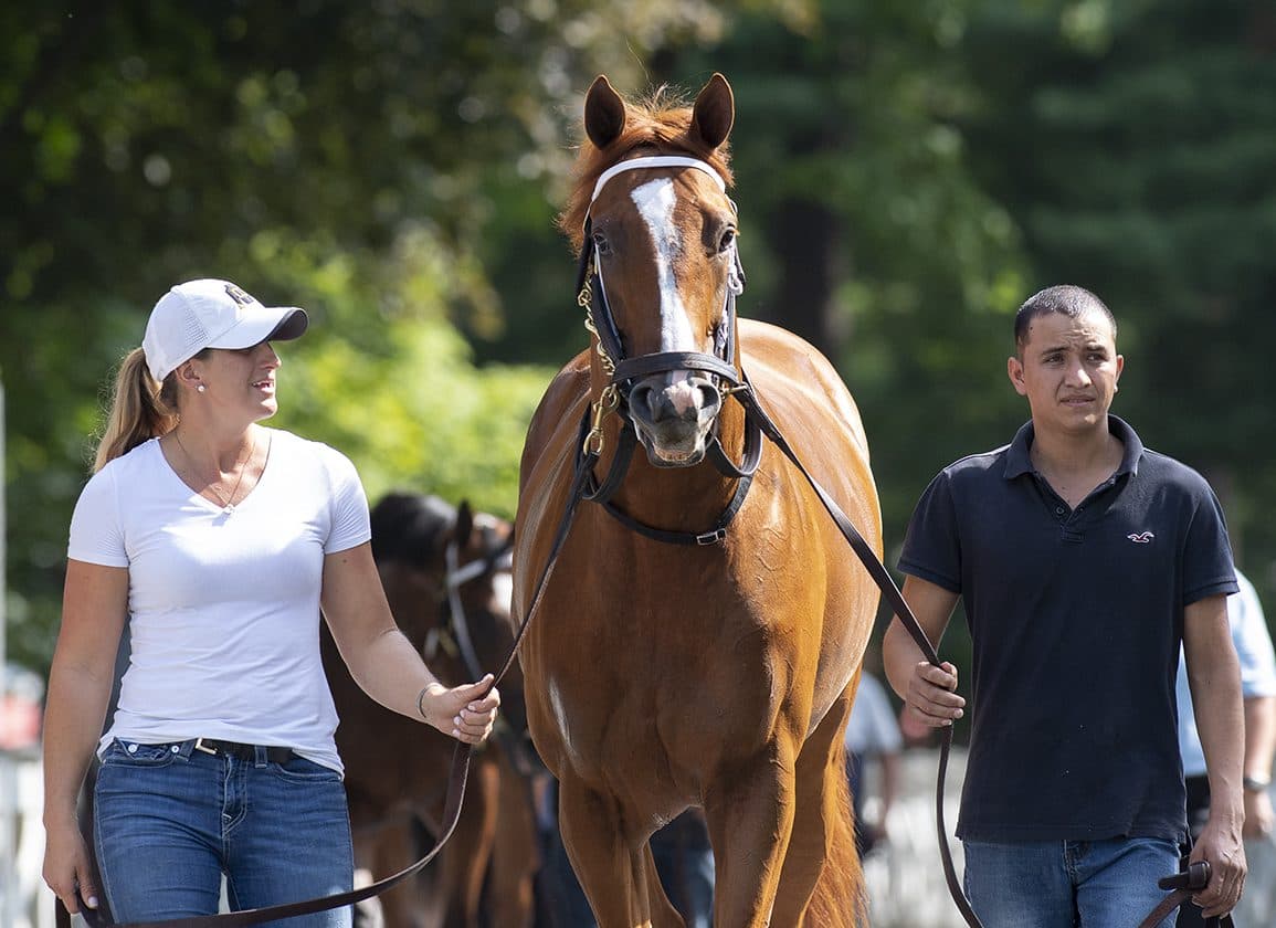 Cyberknife's first runner Cut Throat debuts in Churchill maiden test
