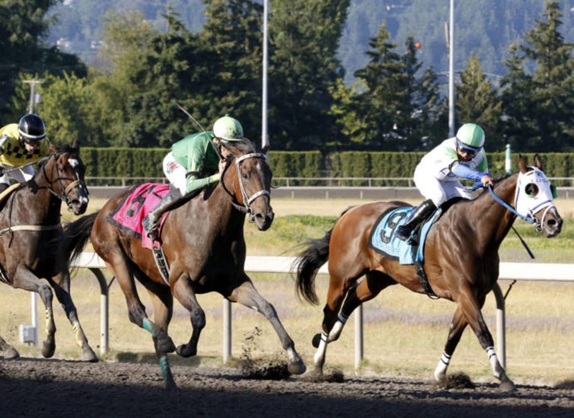 Slew's Tiz Whiz Named Washington Thoroughbred Horse of the Year for Third Time