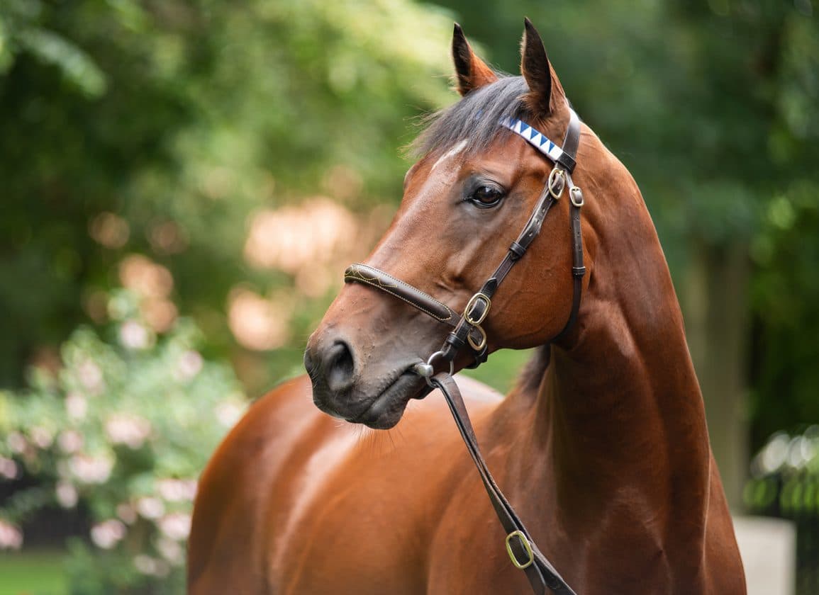 Brilliant Star heads to Kempton after Gosdens skip Cheshire Oaks test