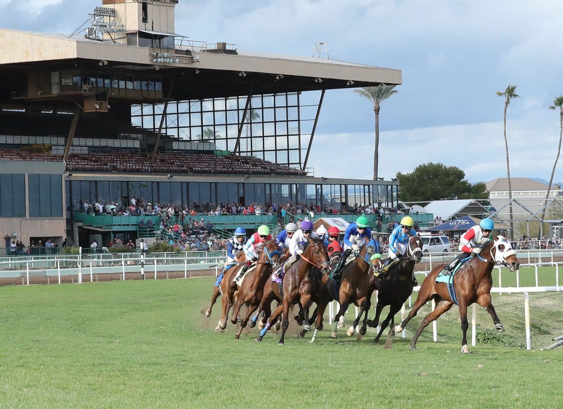 Saline River Dominates Cotton Fitzsimmons Handicap by 5¾ Lengths
