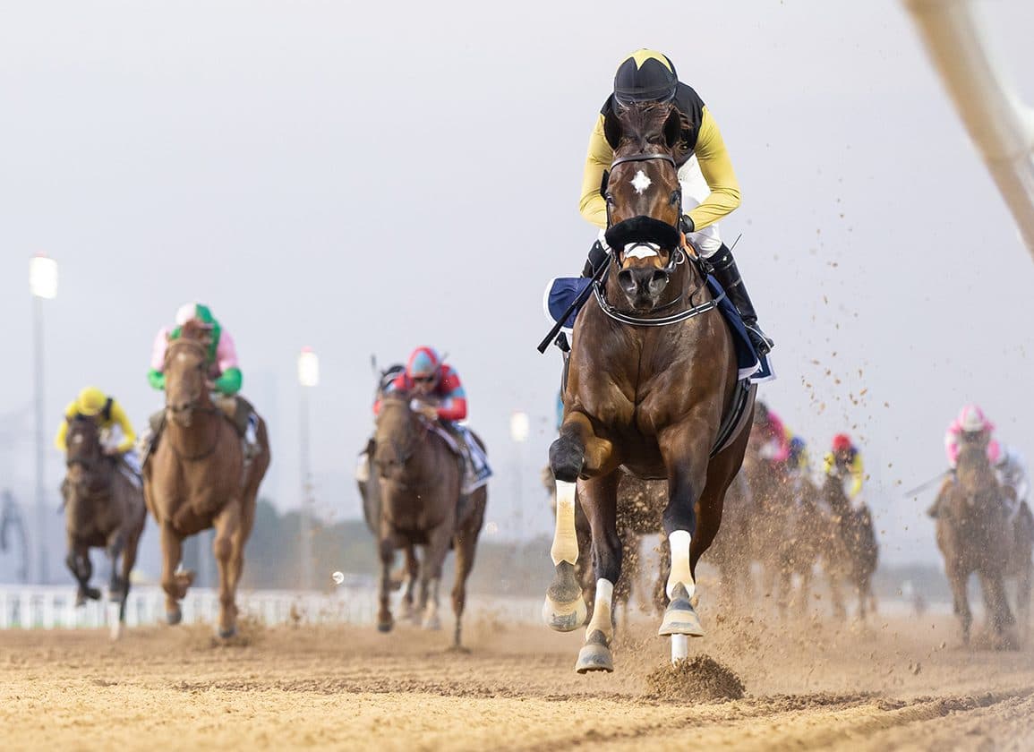 Bentornato Heads to Dubai for March 28 Golden Shaheen with Confident D'Angelo