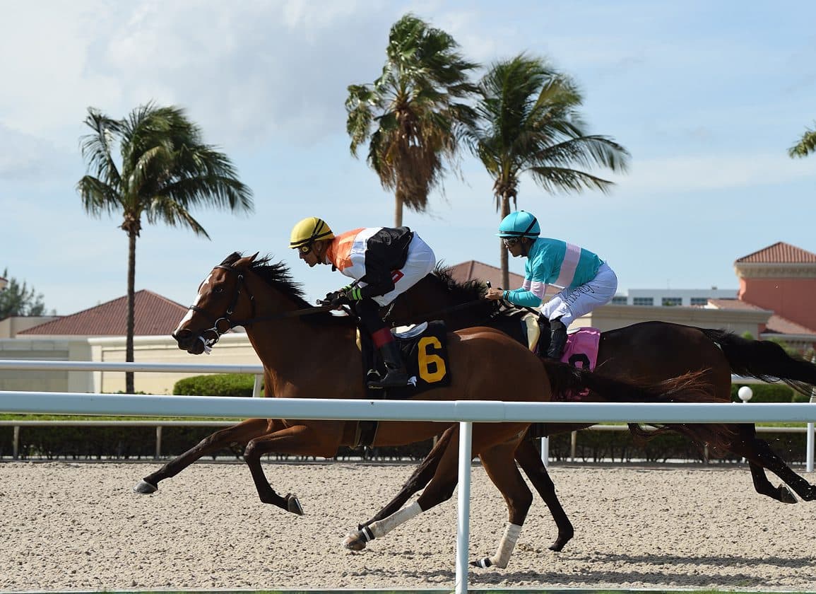 Gulfstream Park Boosts Royal Palm Meet Purses, Florida-Bred Incentives for 2026