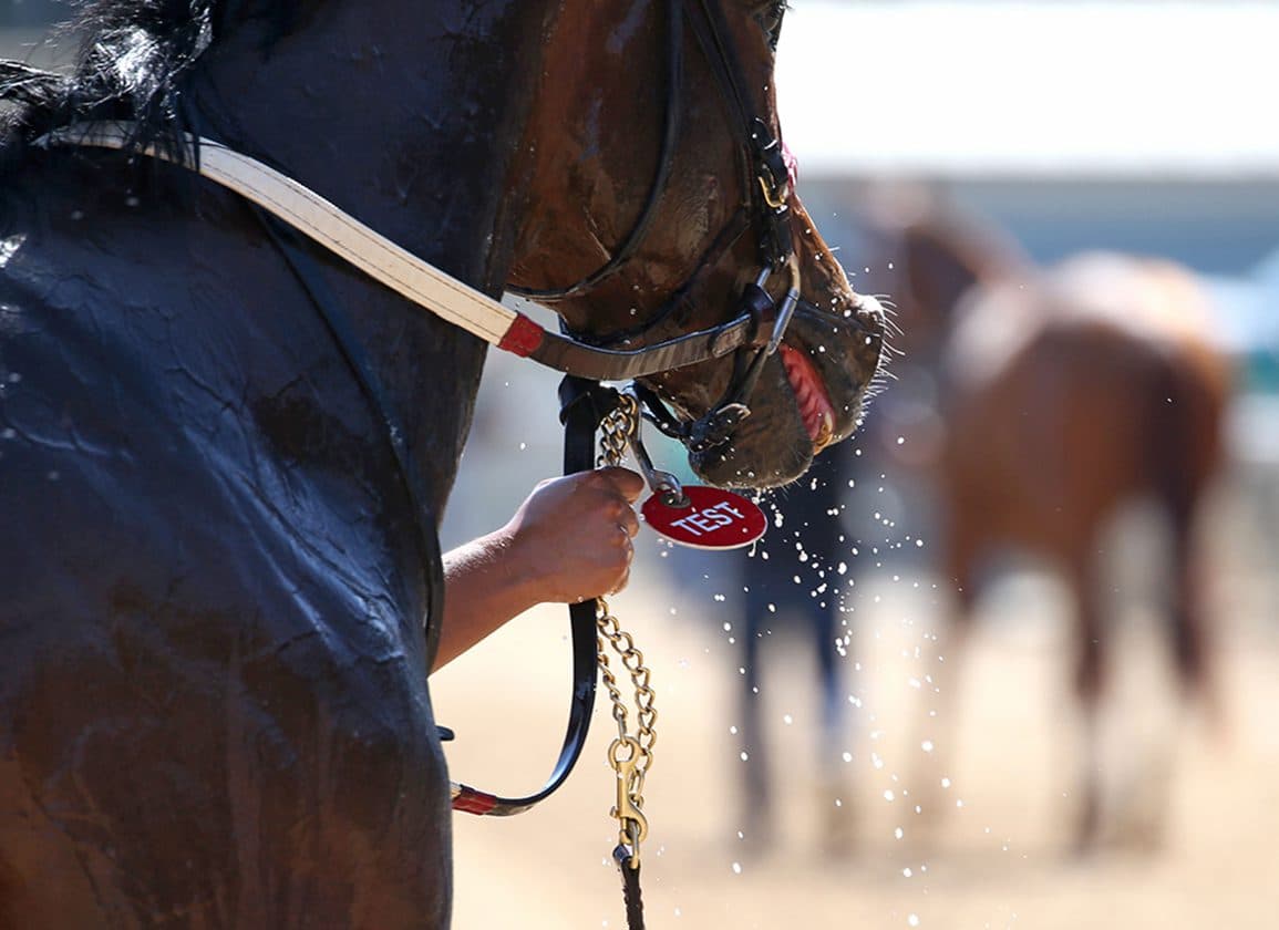 Trainer Sanchez-Pinero Handed Four-Year Ban, $50,000 Fine for Doping Violations