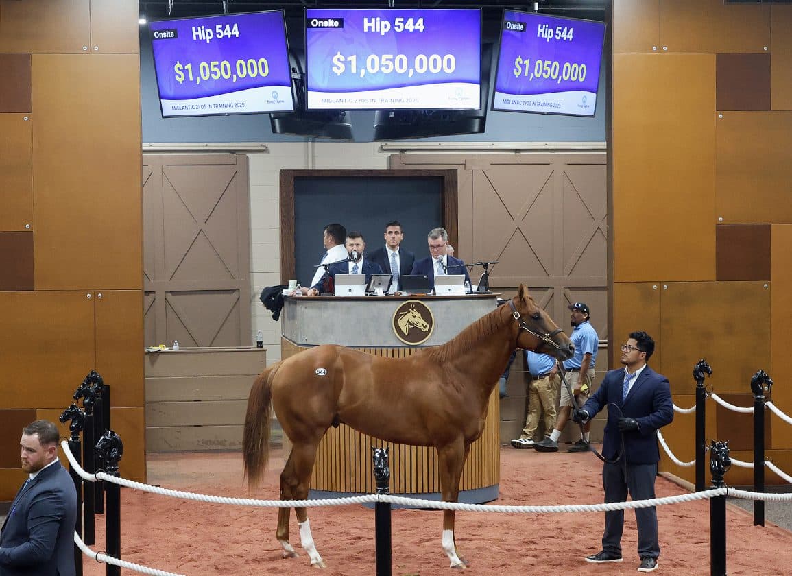 Fasig-Tipton Midlantic sale sets records as buyer demand surges
