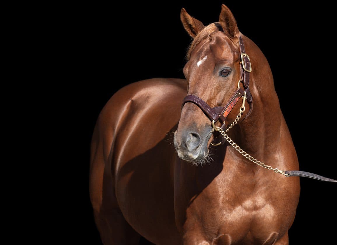 Gun Runner Colt Tops OBS Online March Second Chance Sale at $90,000