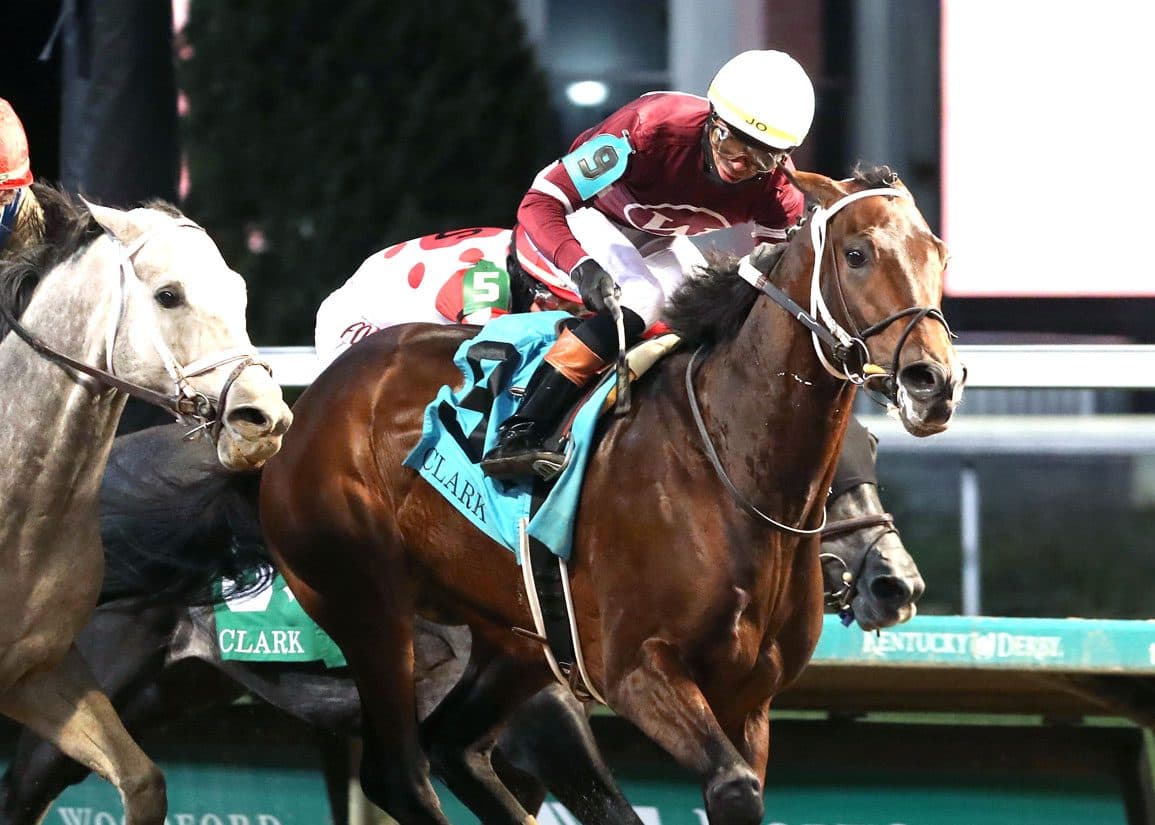 Magnitude and Hit Show Set for Dubai Flight Ahead of World Cup