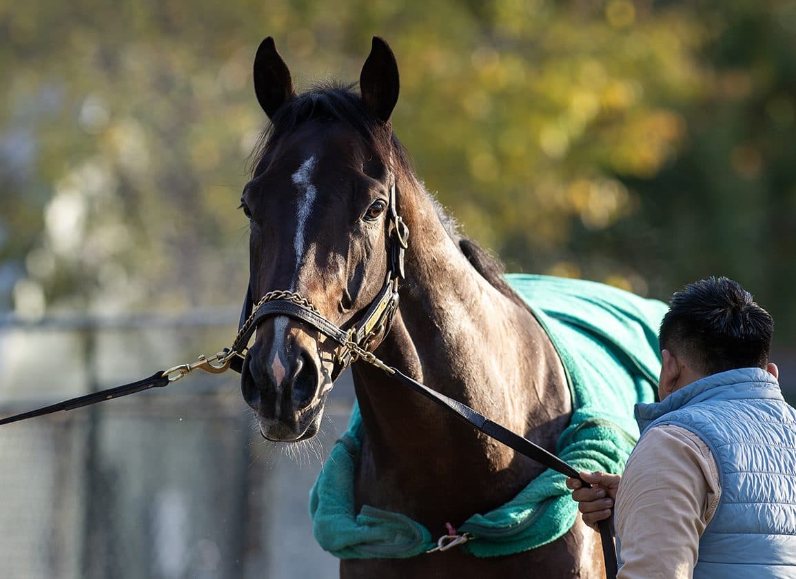 Bill Mott Outlines Near-Term Plans for Sovereignty, Baeza, Knightsbridge, Chief Wallabee