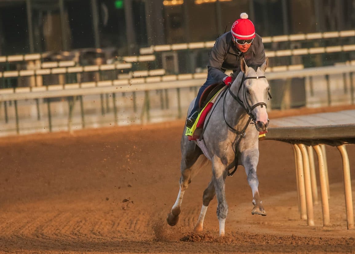 Nu What's New Earns First Graded Stakes Win in Oaklawn Mile